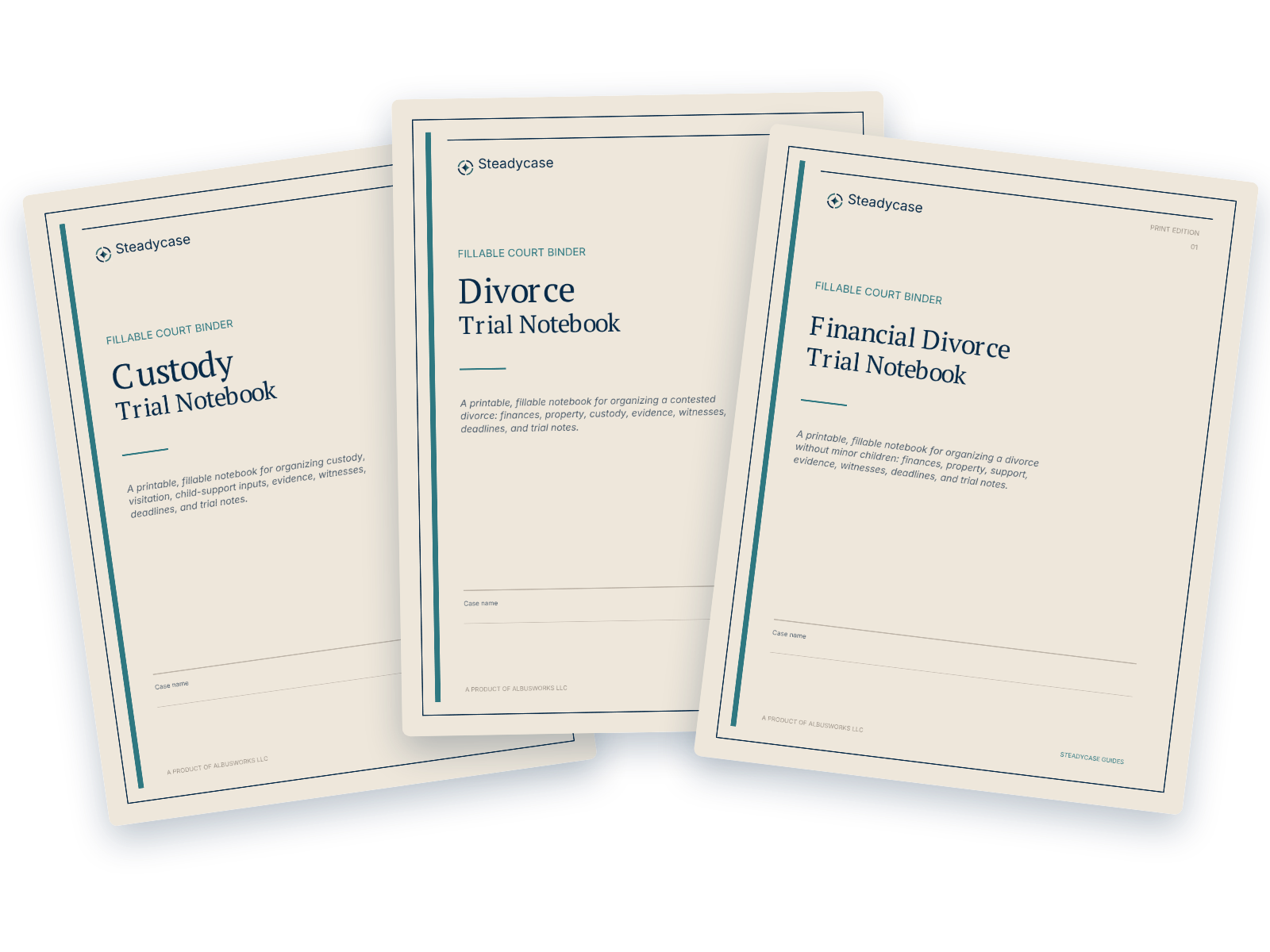 Steadycase Custody, Divorce, and Financial Divorce Print Edition covers